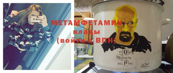 сатива Беломорск