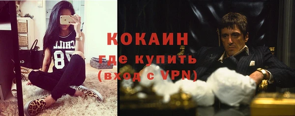 сатива Беломорск