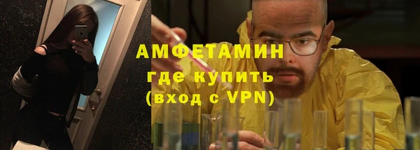 стаф Белокуриха