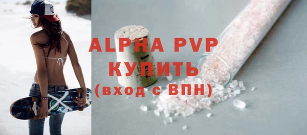 сатива Беломорск