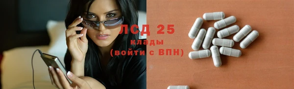 стаф Белокуриха