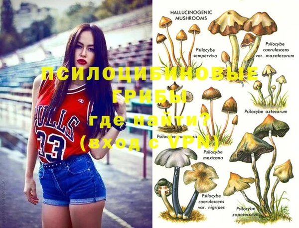 сатива Беломорск
