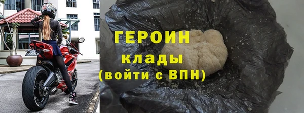 сатива Беломорск