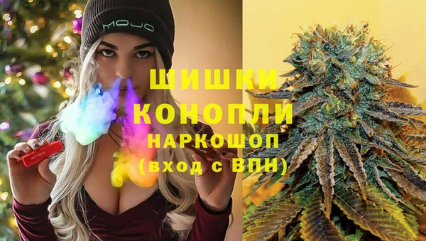 стаф Белокуриха