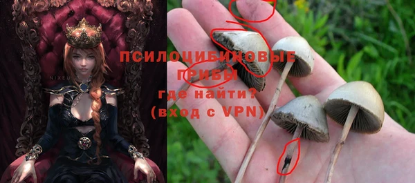 прущий лед Балабаново