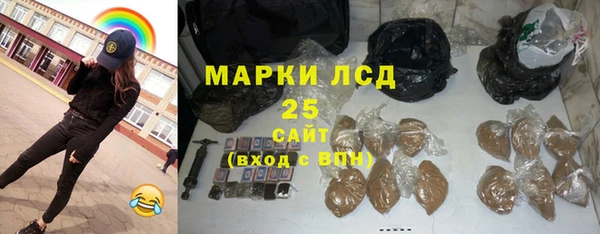 сатива Беломорск
